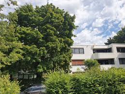 Wir haben 1.139 immobilien zur miete für wohnung privat ab 255 € für dich gefunden. Wohnung Muenchen Von Privat Mieten Vermieten Mietangebote