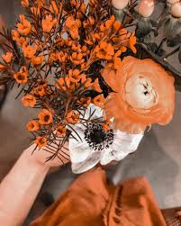 Victoria Michelle Creel On Instagram Flower Bouquet Flower Love Flower Truck Fashion Orange Aesthetic Orange V Bunga Fotografi Pemandangan Warna