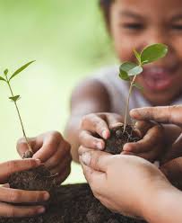 Strategic Plan 2024–2030