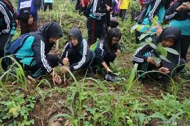 Demikian informasi tentang harga tiket masuk, fasilitas serta hal apa saja yang bisa kamu lakukan saat liburan di gunung pancar bogor semoga informasi sedikit ini dapat membantu sobat triper yang ingin melakukan liburan di akhir. Reboisasi Di Gunung Klotok