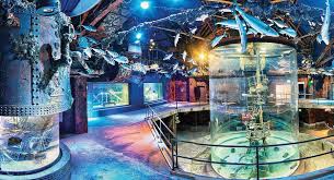 Maybe you would like to learn more about one of these? America S Wildlife Museum And Aquarium