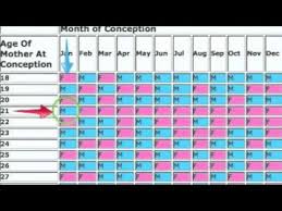 gender prediction chart for twins gender prediction during