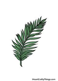 @swishandthrift plant aesthetic, aesthetic photo, aesthetic pictures, . Palm Leaf Drawing How To Draw A Palm Leaf Step By Step
