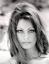 Sofia villani scicolone, popularly known by her screen name sophia loren, is an italian film star. Young Sophia Loren Sophia Loren Sophia Loren Photo Beauty