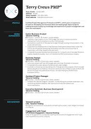 Project managers lead a project team, create a budget and timeline for project completion and ensure that the. Project Manager Cv Example Kickresume