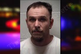 Travis Washington — Henry County Jail Bookings