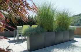 Portal Fur Bauen Wohnen Haus Und Garten Stimmungsvoll Und Pflegeleicht Terrassenwelten Bepflanzung Garten Vorgarten