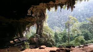 Gua niah, niah national park, sarawakgua niah ialah sebuah gua terletak di pedalaman bandar miri, sarawak, malaysia.keistimewaan gua niah:gua niah merupakan. Gua Terbesar Di Malaysia Ulasan Niah Caves Miri Malaysia Tripadvisor