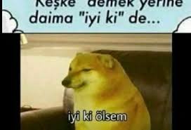 Iyiki Olsem Oxgwooqfkfsvsjwuhwxkav In 2020