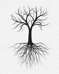 ✓ free for commercial use ✓ high quality images. Black Tree With Roots On Transparent Background Vector Illustration Isolated Object Naked Tree Royalty Free Cliparts Vectors And Stock Illustration Image 123168634