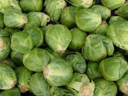 We did not find results for: Cool Season Brussels Sprouts Are Hot Indiana Yard And Garden Purdue Consumer Horticulturepurdue University Indiana Yard And Garden Purdue Consumer Horticulture