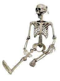 Iskelet (definite accusative iskeleti, plural iskeletler) skeleton; Buyuk Boy Iskelet Kukla Biblo 90 Cm Dekorasyon The Company