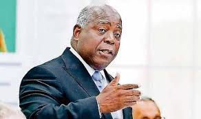 TC Weekly News May 20