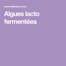 Algues Lacto Fermentees Culinaire Conserve Maison Alimentation