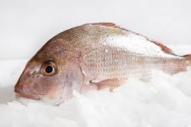 April 20, 2020 pukul 5:30 am. 8 Ikan Laut Indonesia Yang Sering Dikonsumsi Lezat Kaya Manfaat