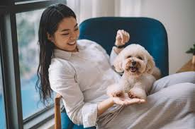 Antihistamines and steroids are often combined with bronchial dilation drugs. Living With Dogs When You Have Asthma
