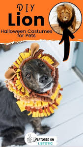 Diy Animal Costumes For Halloween Listotic Animal Halloween Costumes Animal Costumes Lion Halloween