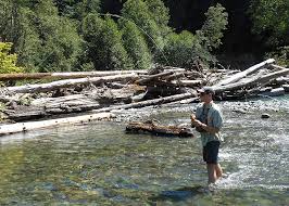 Its loaded with natural oysters and clams. Dosewallips And Duckabush Rivers The Trust For Public Land