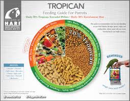 Basic Bird Nutrition Parrot Food What To Feed Pet Birds