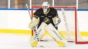 Den person och målvakt man tänker på mest i dessa sammanhang är nummer 1, stefan liv. Hv71 On Twitter Anna Amholt Ny Malvakt I Hv71 Https T Co Ywwqb0qap1 Hv71