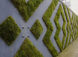 Custom designed moss walls & art by artisan moss. Moss Graffiti Grows On Walls By Anna Garforth