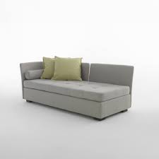 Image result for isolona