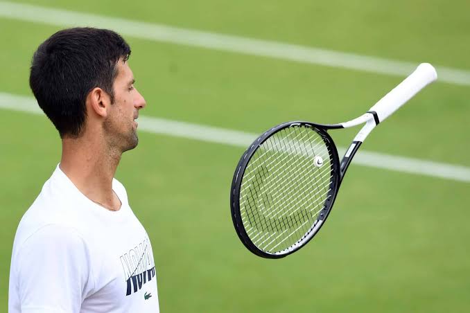 Novak Djokovic's Racket - Perfect Tennis