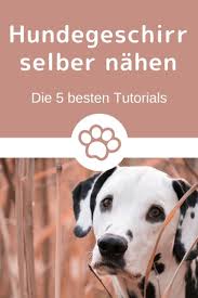 Hundegeschirr Selber Nahen Hundeblog Meinhund24 Hundegeschirr Hunde Hundeschule