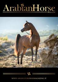 Programe seniori 2018 cu avionul sau autocarul. Arabian Horse Magazine N3 2018 Aachen Issue By Arabian Horse Magazine Issuu