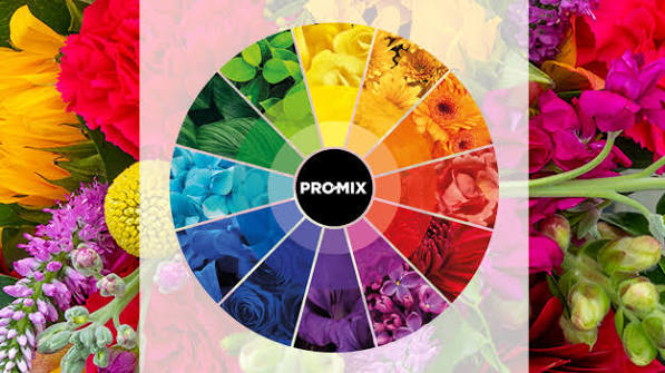 Nuancier de peinture avec palette de couleurs harmonieuses — cercle chromatique décoration
