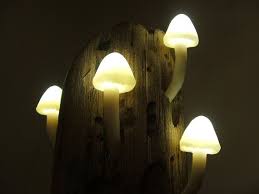 Magical Mushrooms Shroom And Driftwood L E D Mood Lighting Mushroom Lights Mushroom Lamp Magical Mushrooms
