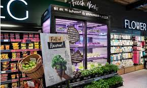 Marks and spencer plc is a credit broker not a lender. Marks Spencer Food News Articles And Whitepapers New Food Magazine