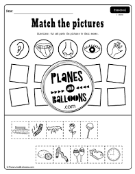 Pin On Five Senses