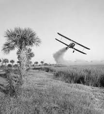 This lesson will focus all of the information the students have learned about pests in the tree integrated pest management dan nortman virginia cooperative extension, york county ipm refresher definition: History Of Ipm Museumpests Net