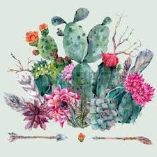 Las especies de cactus con pocas espinas o. Exotico Ramo De La Acuarela Del Vintage Natural En El Estilo Boho Cactus Suculentas Ilustracion De Cactus Ilustracion De Flor Pintura De Cactus