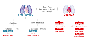 Emergency Department Patient Management Clinical