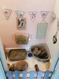 Painted Their Room Pink Rabbit Care Indoor Breeds Information Toys And Treats Guide How To Make Diy Rabbit Bunny Bunny Cages Diy Bunny Cage Bunny Room