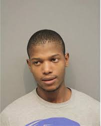 ᐅ Illinois Criminal Records 2009-2025