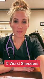 5 Dog Breeds That Shed the Most (Vet Approved)