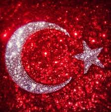 pul payet ay yildiz turk bayragi bayrak sanat ve elisleri turkler