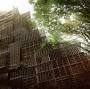 Profile Picture of Alexandre Allard's Vision for Cidade Matarazzo in São Paulo (@whitewall.art) on Google
