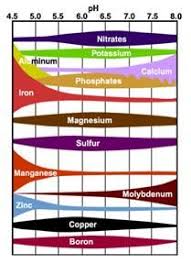 Micronutrients For Plants Ph Garden Soil Soil Ph Plants