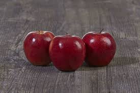 Jonagold has become an important variety in the united states and europe due to its exceptional eating quality, large fruit size and highyield potential. Wilton S Red Jonaprince Select Varieties And Mutations In Our Nursery Nursery Gruber Genetti Our Tree Your Success