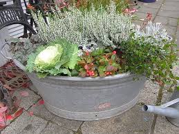 Zinkwanne Xl Pflanztrog Brennholzkiepe Shabby Zinkwanne Bepflanzen Pflanzen Bepflanzung