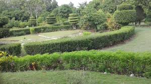 Jardin Botanique Des Cayes Haiti Outdoor Outdoor Decor Plants