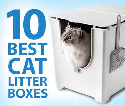 How To Reduce Kitty Litter Odor Hacks For Cats