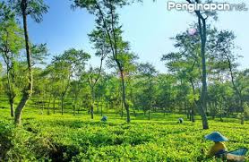 We did not find results for: 4 Tempat Wisata Terbaru Yang Menarik Untuk Dikunjungi Di Lawang Penginapan Net 2021