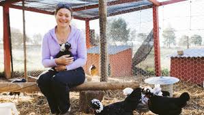 Welcome to the poultry extension website. Coronavirus Poultry Breeders See Surge In Demand For Backyard Chicken The Canberra Times Canberra Act
