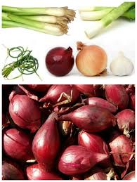 Here is step by step tutorial. Shallot Substitutes What To Use When You Don T Have Time To Shop