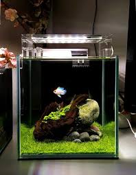 20cube Fishtank 180316 Ver 3 Aquascape Aquarium Aquarium Fish Tank Aquascape Design